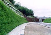 緑の擁壁が完成