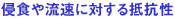 侵食や流速に対する抵抗性
