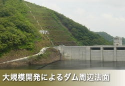 大規模開発によるダム周辺法面